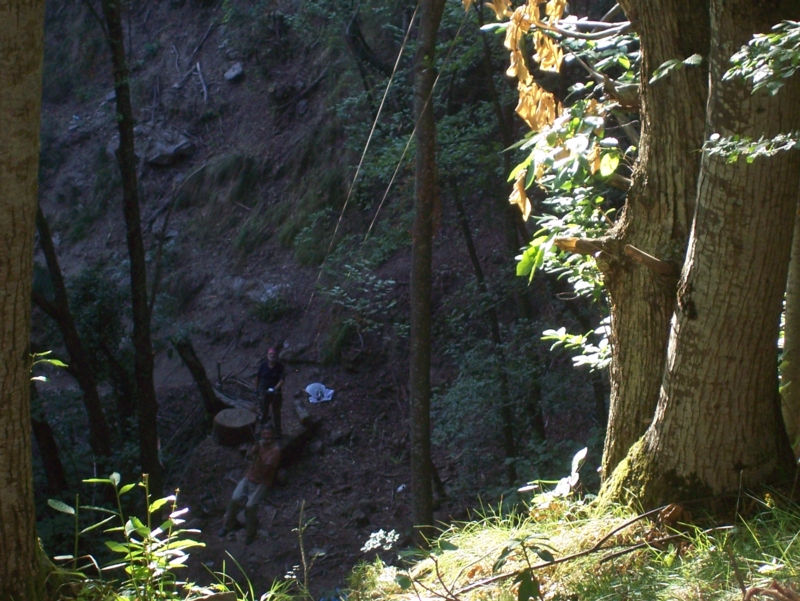  Image name: Persone103.jpg 
 width: 800 pixel 
 height: 601 pixel 
 Size: 450841 bytes 
 Click to enlarge 